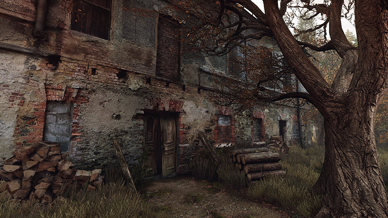 vanishing of ethan carter