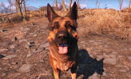 dogmeat_fallout_4