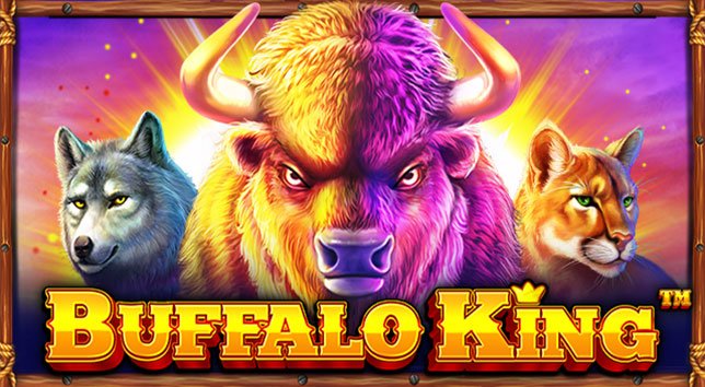 buffalo-king