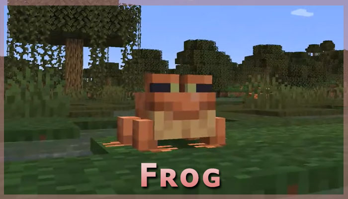 frog