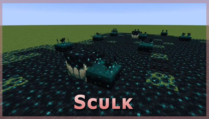 skulk