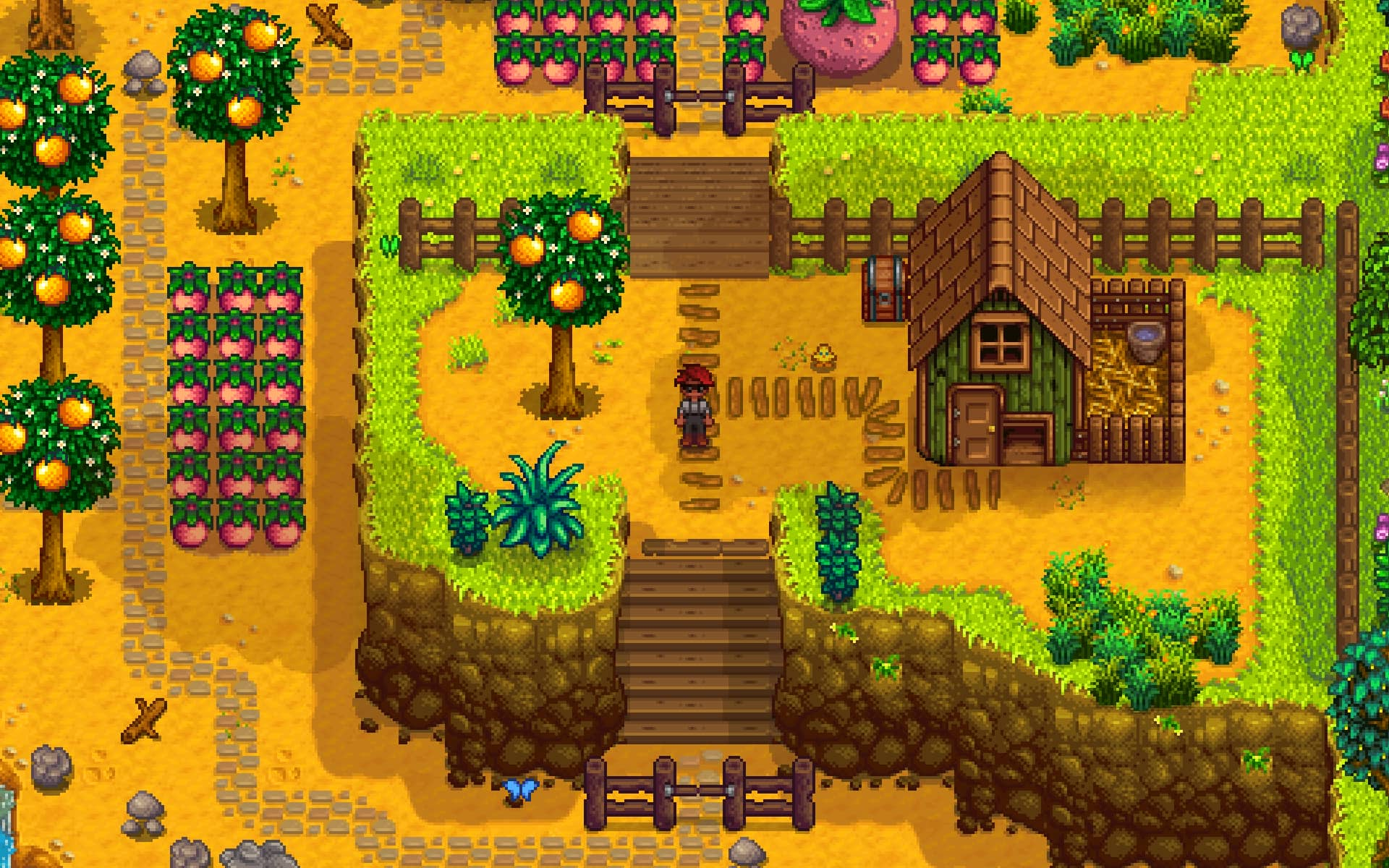 stardew-valley