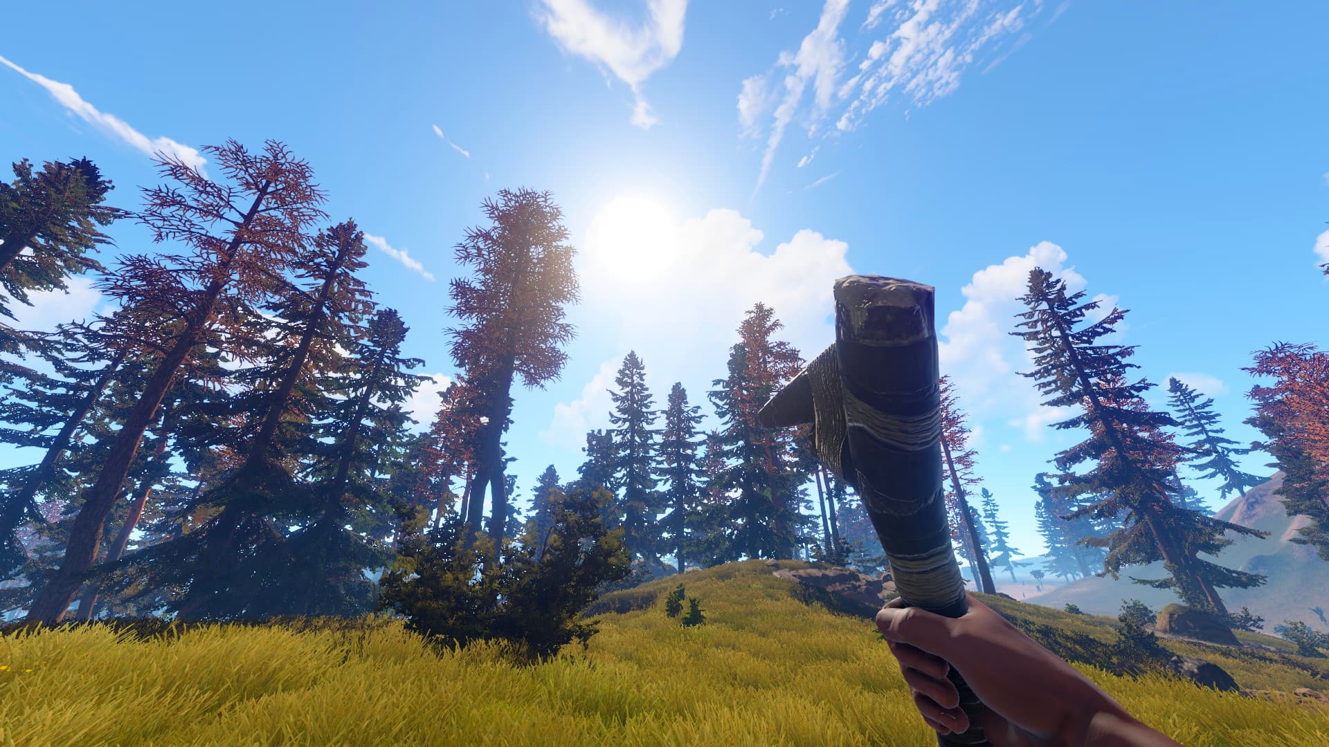 rust game guide