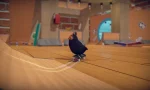 SkateBIRD