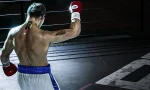 undisputed-on-gamepass